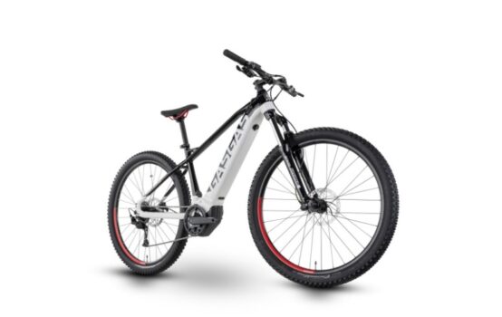 GasGas Cross Country 2.0  29" 9 Gang
