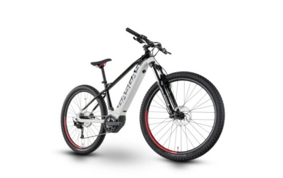 GasGas Cross Country 2.0  29" 9 Gang